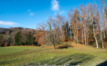 Ferme 6 pièces - image - 13