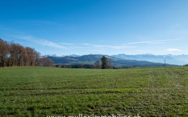 Ferme 6 pièces - image - 12