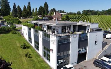 Attikawohnung 5.5 Zimmer - image - 9