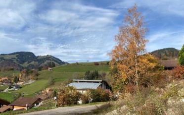 Bauland - image - 4