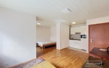 Appartement 1 pièce - image - 2