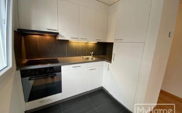 Appartement 1.5 pièces - image - 7