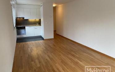Appartement 1.5 pièces - image - 1