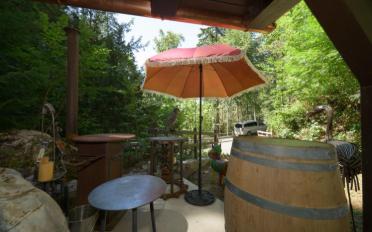 Chalet ein Zimmer - image - 8
