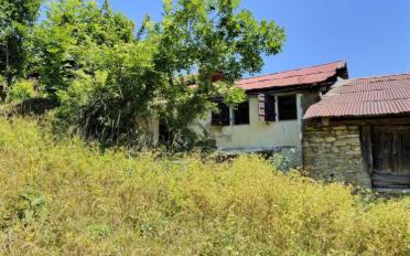 Single house 4 rooms - image - 2