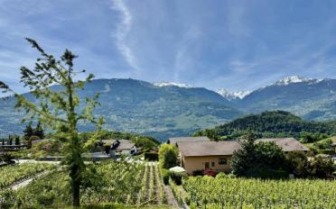 Villa 5 pièces - image - 2