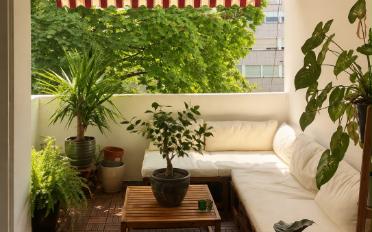 Appartement - image - 9