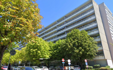 Wohnung 8.5 Zimmer - image - 1