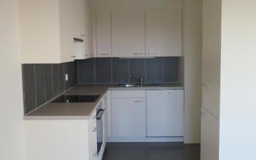 Wohnung 4.5 Zimmer - image - 5