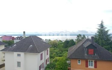 Wohnung 2.5 Zimmer - image - 8