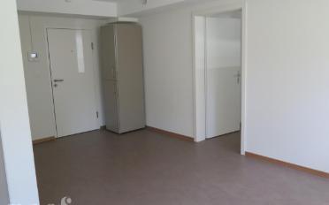 Wohnung 2.5 Zimmer - image - 4