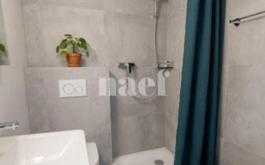 Wohnung ein Zimmer - image - 3