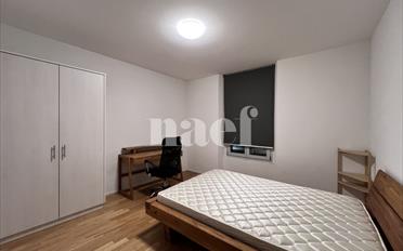 Single room 1 room - image - 3