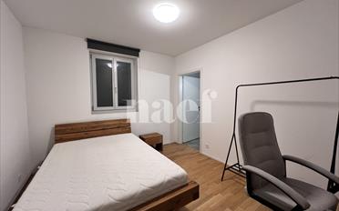 Single room 1 room - image - 2