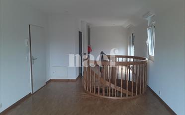Appartement 6 pièces - image - 4