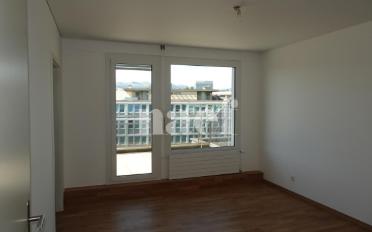 Wohnung 6.5 Zimmer - image - 5