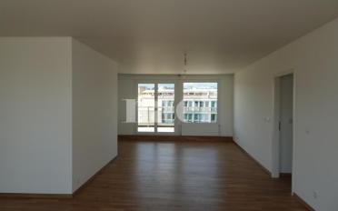 Wohnung 6.5 Zimmer - image - 2