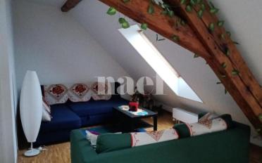 Wohnung 5 Zimmer - image - 2