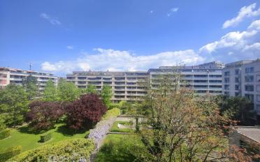 Wohnung 3 Zimmer - image - 1