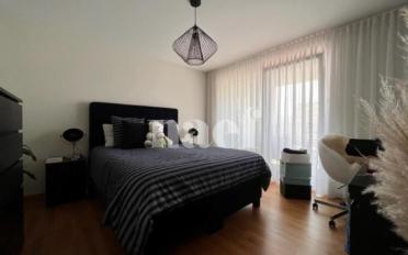 Wohnung 2.5 Zimmer - image - 3