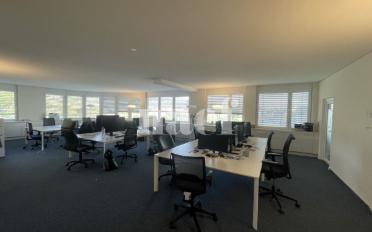 Bureau 4 pièces - image - 4