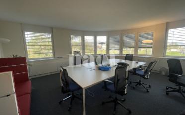Bureau 4 pièces - image - 5
