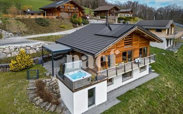 Villa 5.5 Zimmer - image - 3