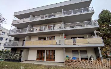 Wohnung ein Zimmer - image - 1