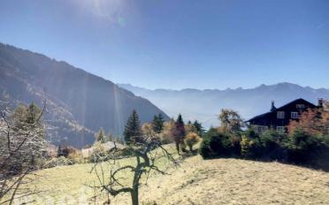 Chalet 4.5 Zimmer - image - 9