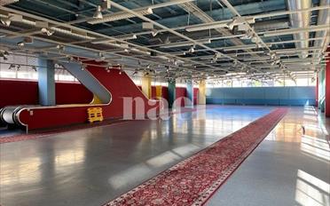 Shop - image - 3