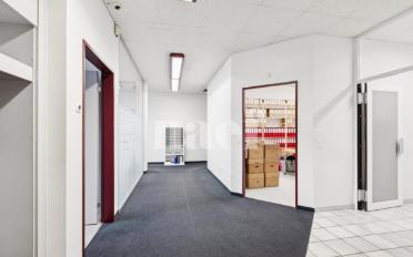 Büro 11 Zimmer - image - 4