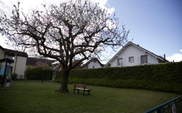 Doppeleinfamilienhaus - image - 4