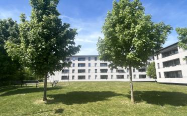 Wohnung 3.5 Zimmer - image - 1