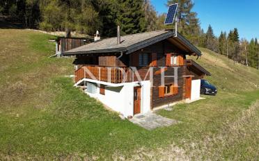 Chalet 4 rooms - image - 9