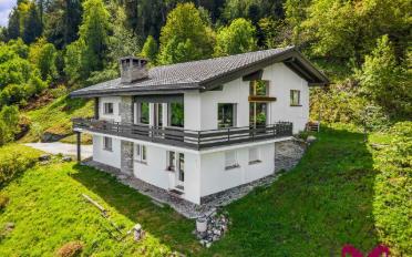 Einfamilienhaus 7.5 Zimmer - image - 1