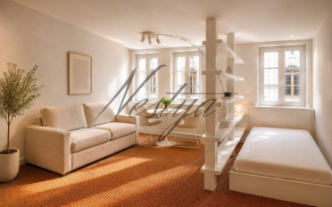 Furnished flat 1 room - image - 3