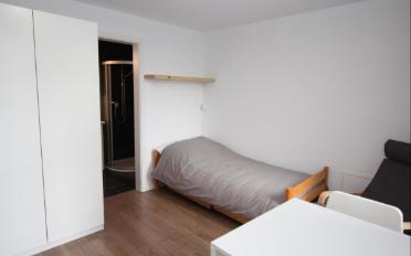 Furnished flat 1.5 rooms - image - 3