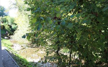 Furnished flat 3 rooms - image - 8