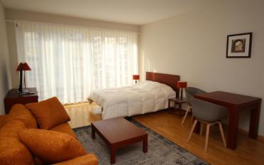 Furnished flat 1 room - image - 2