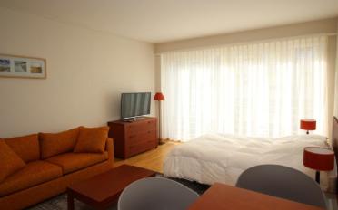Furnished flat 1 room - image - 5
