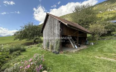Einfamilienhaus 13.5 Zimmer - image - 5
