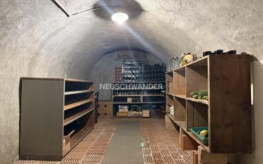 Einfamilienhaus 13.5 Zimmer - image - 6
