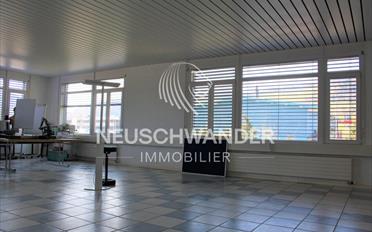 Ladenfläche ein Zimmer - image - 5