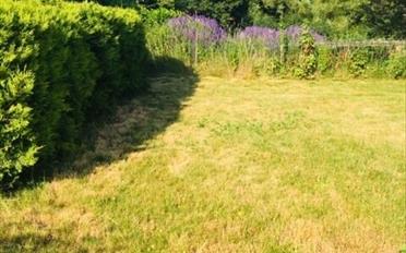 Immeuble mixte - image - 12