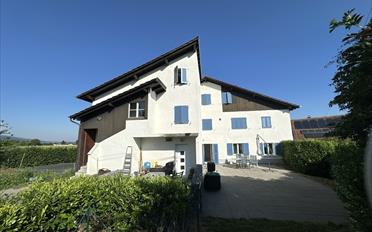 Immeuble mixte - image - 13