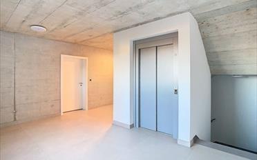 Wohnung 3.5 Zimmer - image - 7