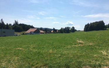 Reihenfamilienhaus 5.5 Zimmer - image - 8