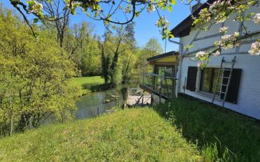 Einfamilienhaus 4.5 Zimmer - image - 1