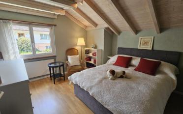 Single house 9.5 rooms - image - 11