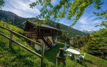 Chalet 4.5 rooms - image - 8